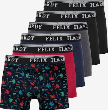 Boxer di Felix Hardy in colori misti: frontale
