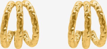 Heideman Earrings 'Xanth' in Gold: front