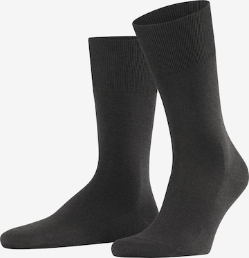 FALKE Socken 'ClimaWool' in Grau: Vorderseite