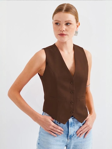 Bigdart Bodywarmer in Bruin