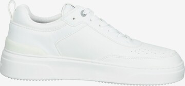 BJÖRN BORG Sneakers 'T1920' in White