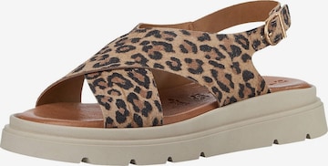 Sandales Tamaris en marron : devant