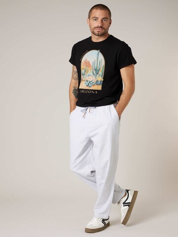 Loosefit Pantalon chino 'Marin' Deeluxe en gris : devant