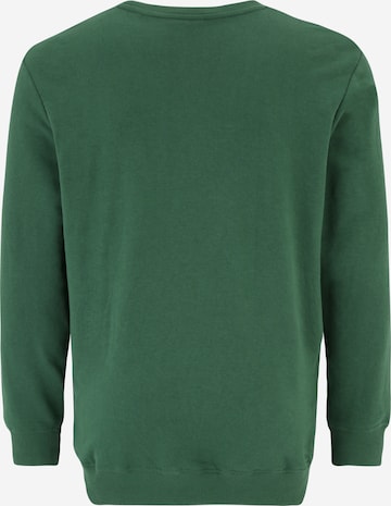 Jack & Jones Plus Sweatshirt 'CORY' i grøn