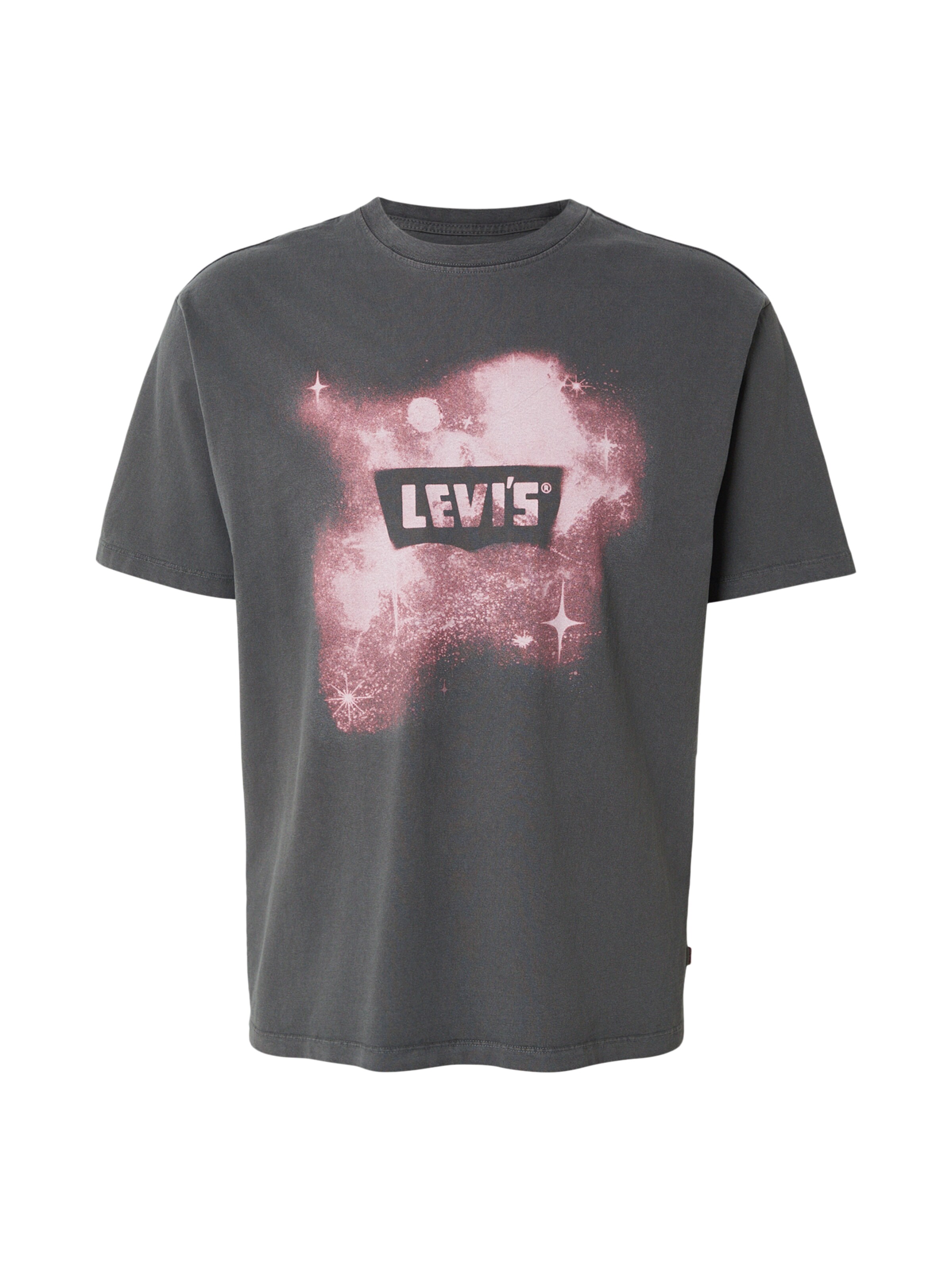 pelēks LEVI'S ® T-Krekls 'VINTAGE': no priekšpuses
