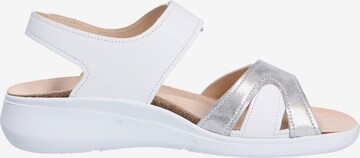 Finn Comfort Sandals in White