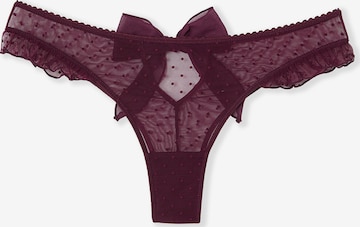 ETAM String 'Surprise S25' in Lila: Vorderseite