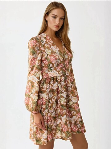 Hiccup Jurk in Gemengde kleuren