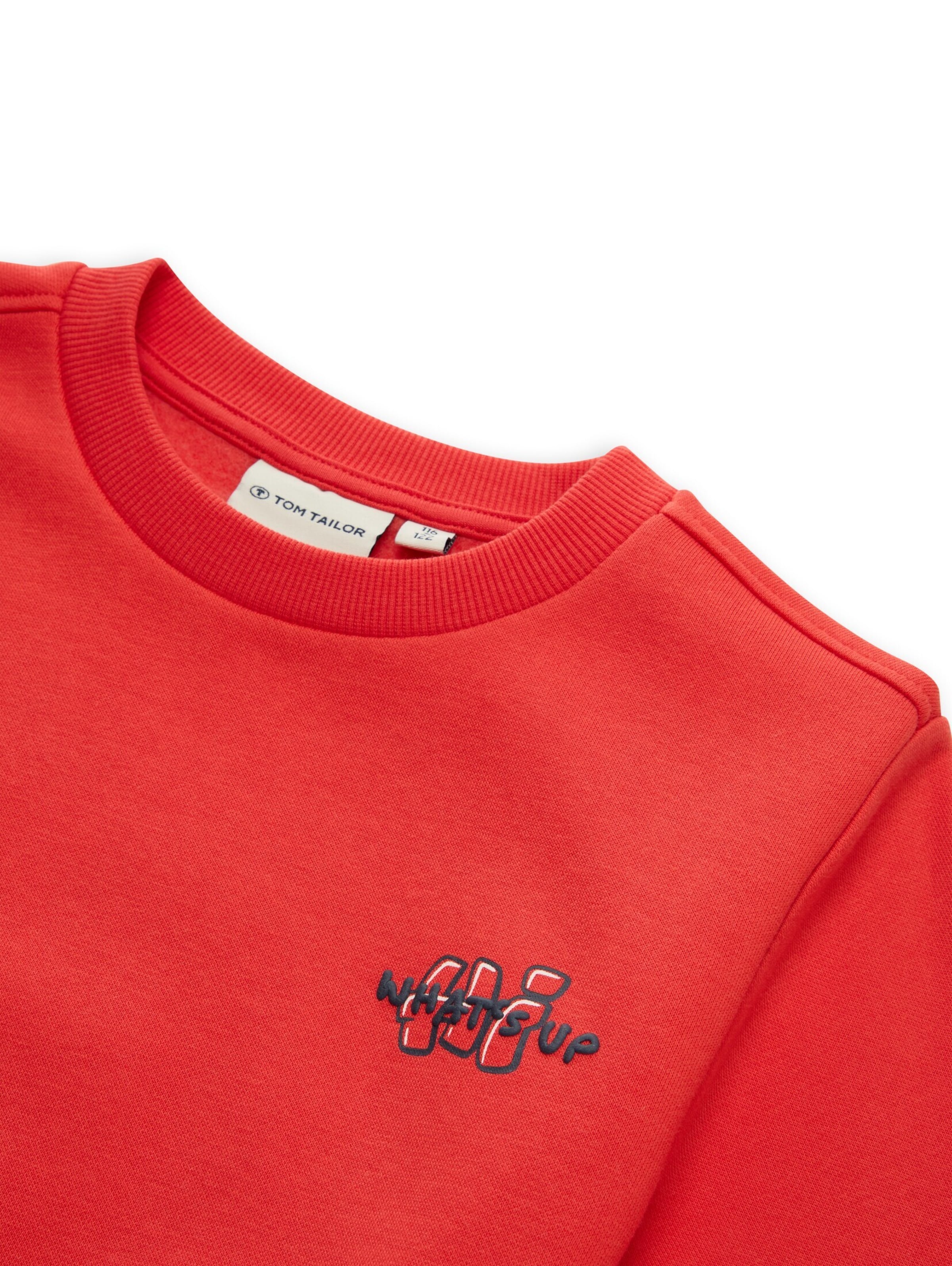 TOM TAILOR Sweatshirt in Red