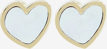 Akzent Earrings 'Sarang, langlebig' in Gold: front