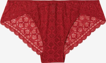 INTIMISSIMI Panty in Red: front