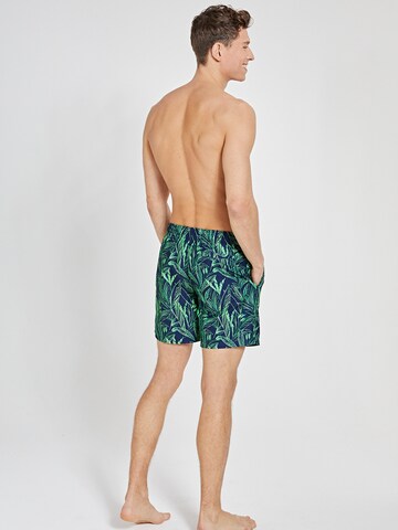 Shorts de bain Shiwi en bleu