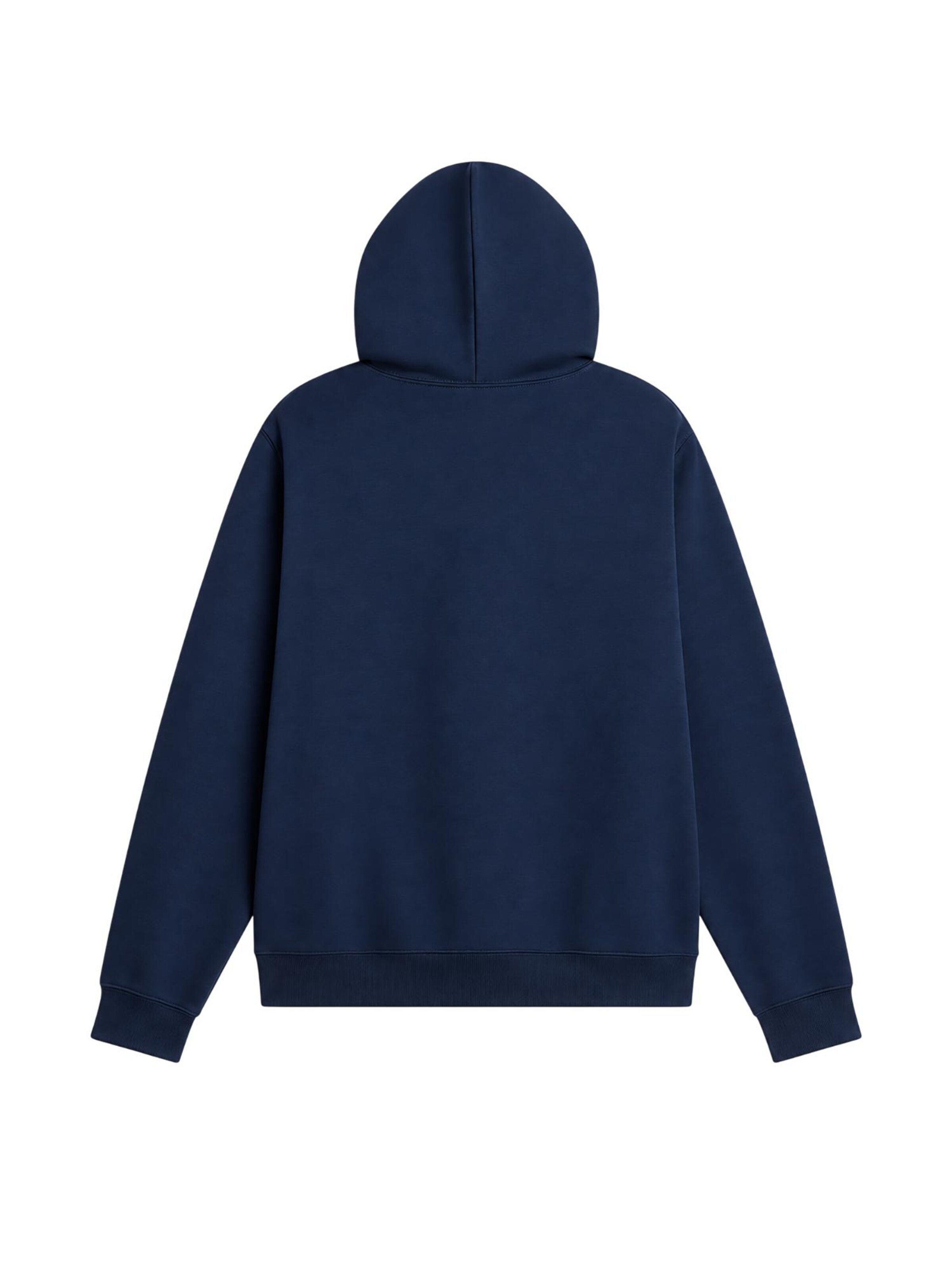 THE NORTH FACE Sweatshirt in Blue