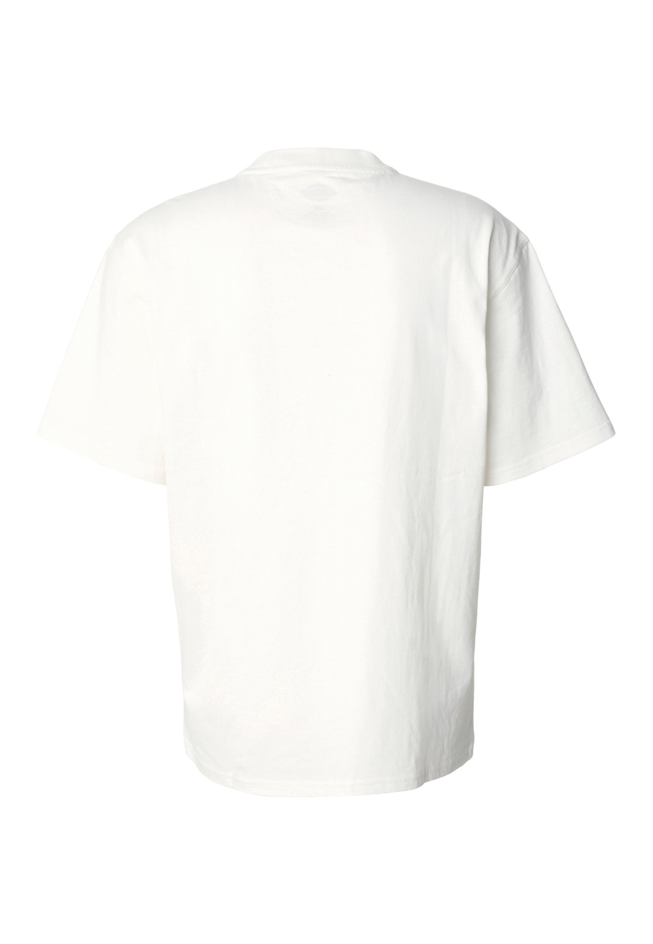 DICKIES Koszulka w kolorze biały