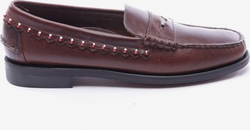 ALANUI Flats & Loafers in 43 in Brown: front