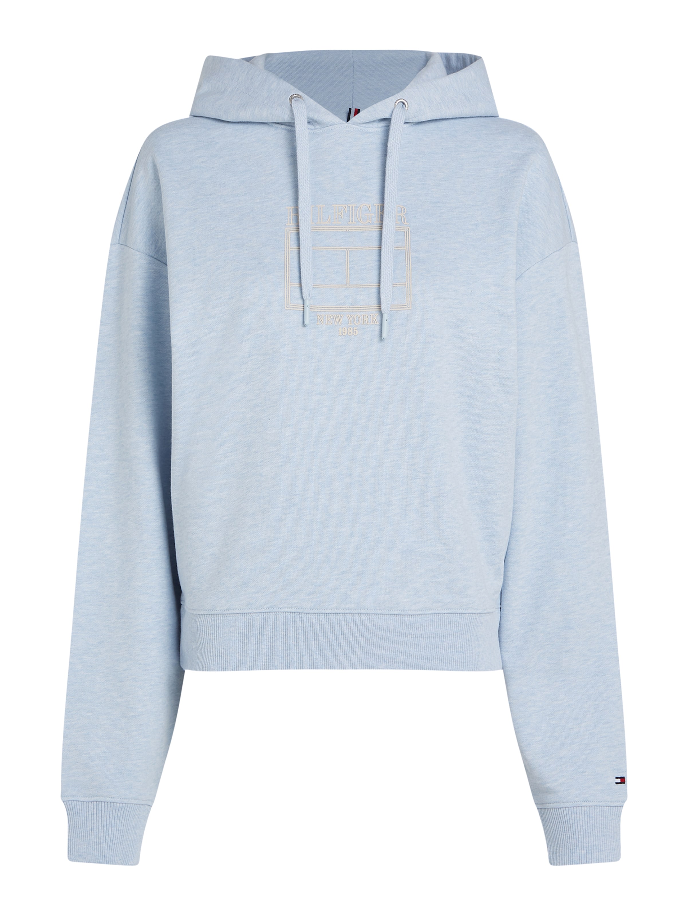 TOMMY HILFIGER Свитшот в Синий: спереди