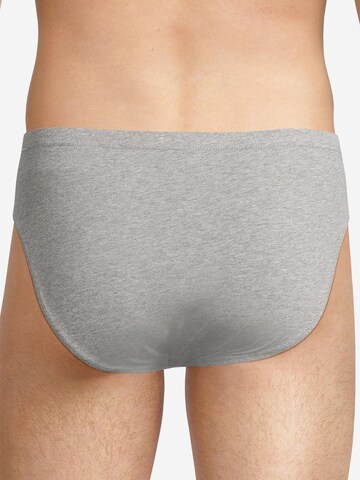 SEIDENSTICKER Panty 'Pur' in Mixed colors