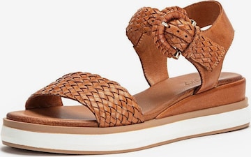 INUOVO Strap Sandals in Brown: front