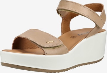 IGI&CO Sandals in Beige: front