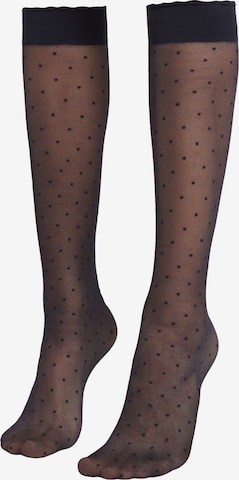 CALZEDONIA Knee High Socks in Blue: front