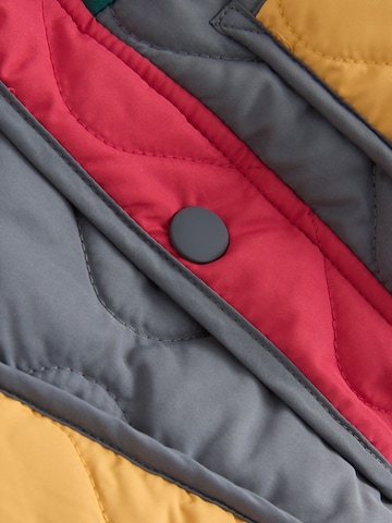Next - Chaqueta de invierno en Mezcla de colores