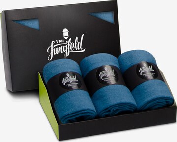 Von Jungfeld Socks in Blue