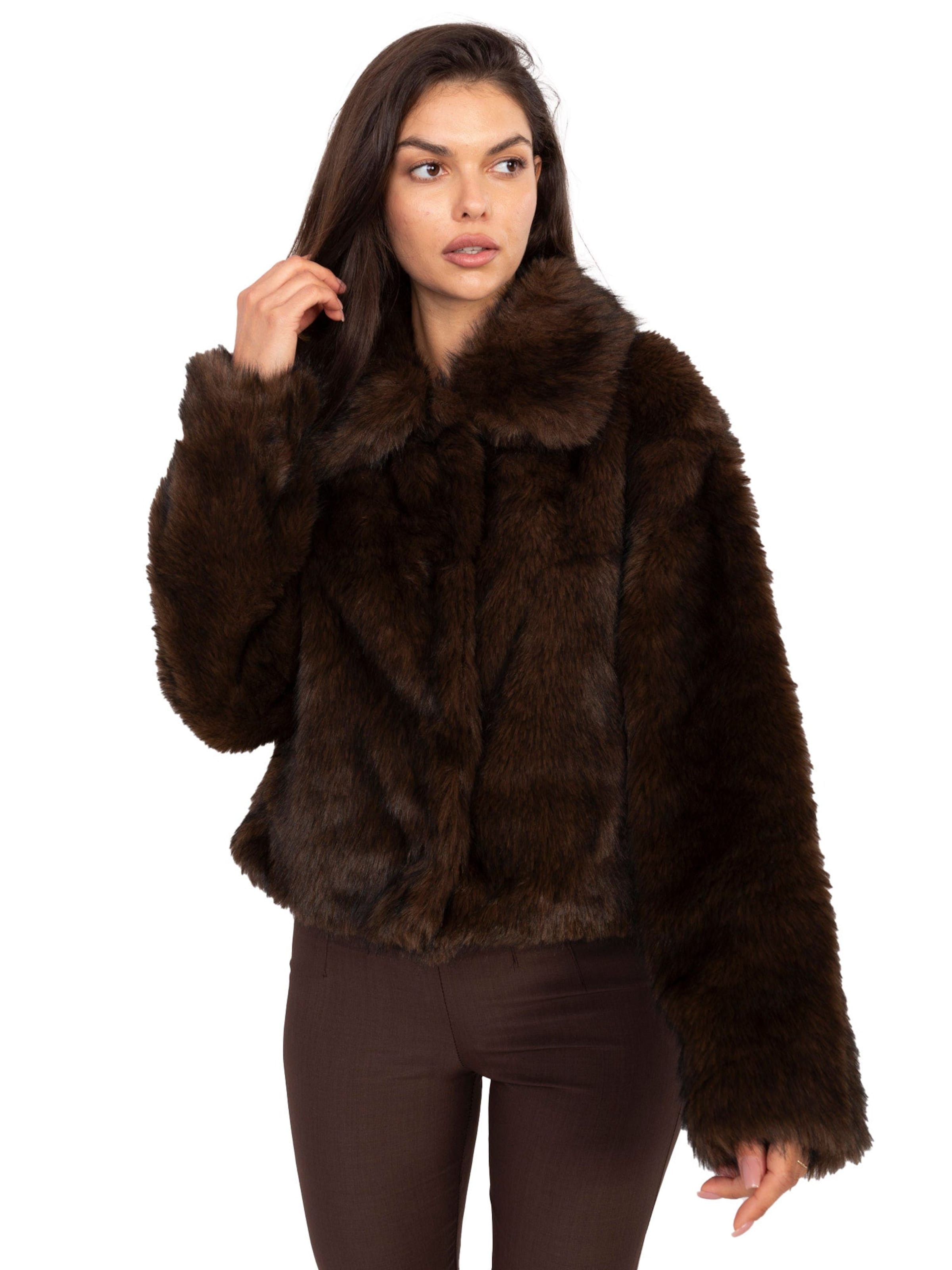 Madnezz House Between-season jacket in Brown: front