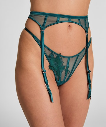 Hunkemöller Jarretels 'Ember' in Groen: voorkant