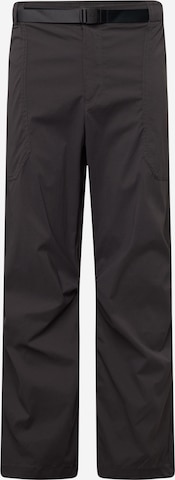 Regular Pantalon outdoor 'Landroamer' COLUMBIA en gris : devant