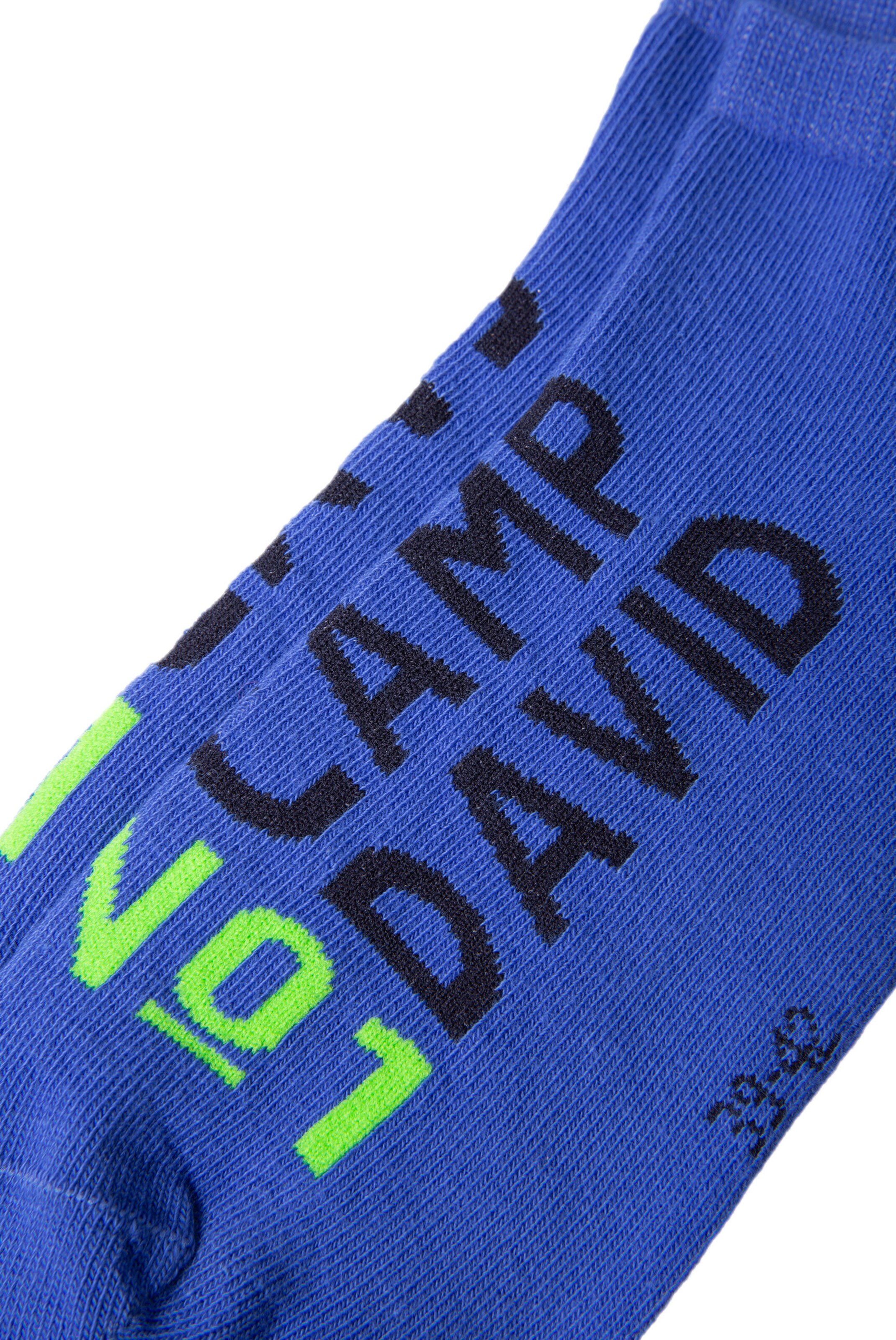 CAMP DAVID Socks in Blue