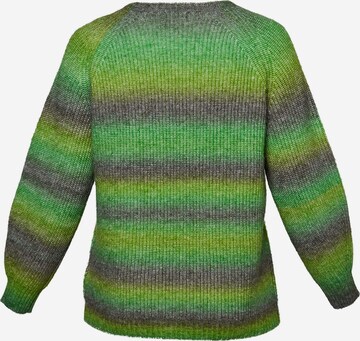 Aprico Sweater 'Bastrop' in Green