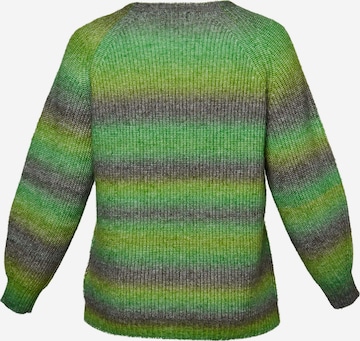Aprico Sweater 'Bastrop' in Green