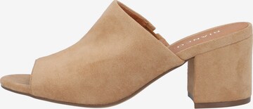 Bianco Mules 'Cate' in Brown