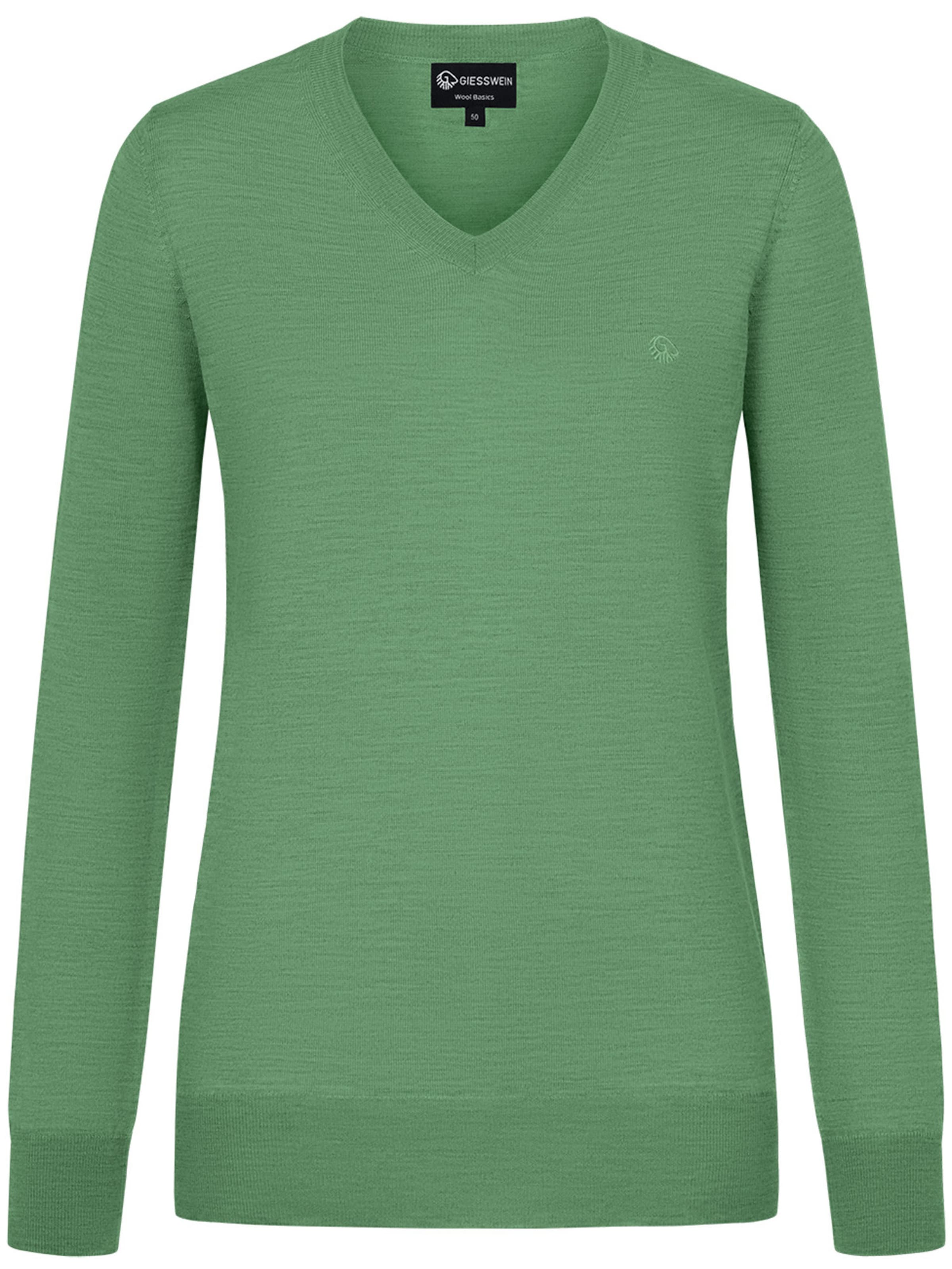 GIESSWEIN Pullover in Grün: Vorderseite