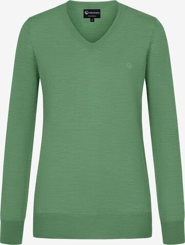 GIESSWEIN Sweater in Green: front