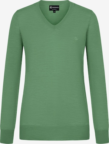 GIESSWEIN Pullover in Grün: Vorderseite