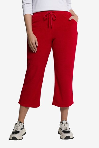 Ulla Popken Bootcut Broek in Rood: voorkant