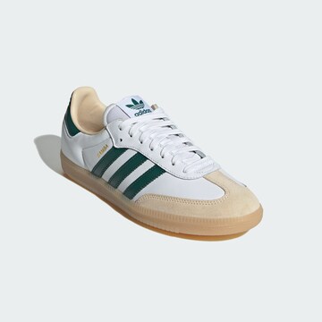 ADIDAS ORIGINALS Низкие кроссовки 'Samba' в Белый