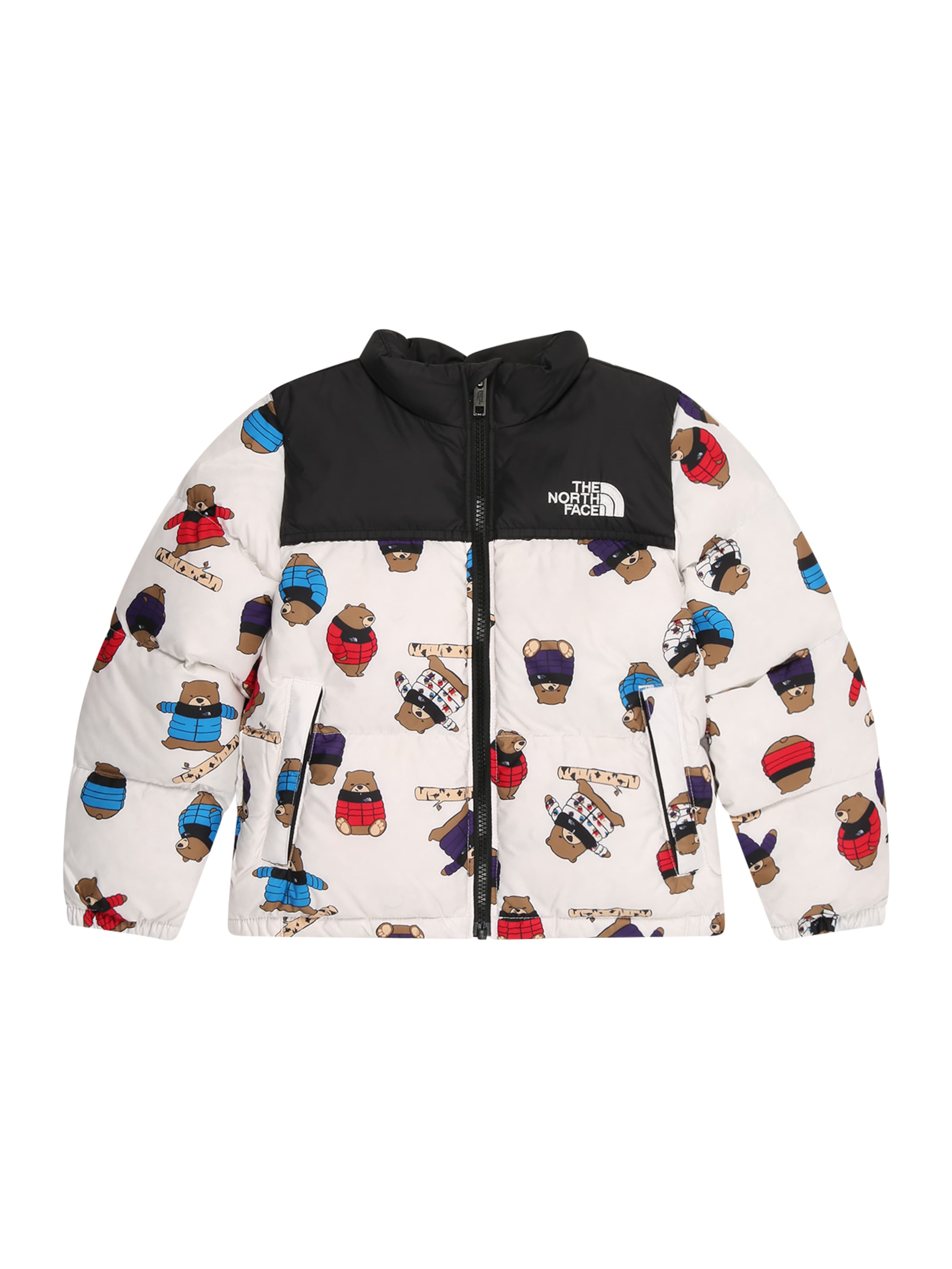 Giacca per outdoor di THE NORTH FACE in bianco: frontale