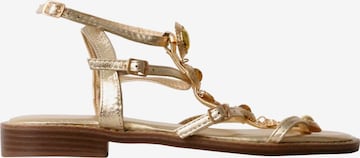 Findlay Sandaal in Goud