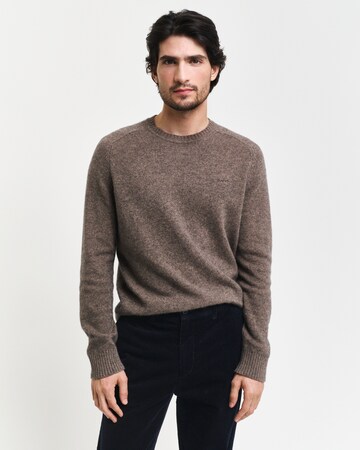 GANT Sweater in Brown: front