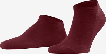 FALKE Socks 'Family' in Red: front