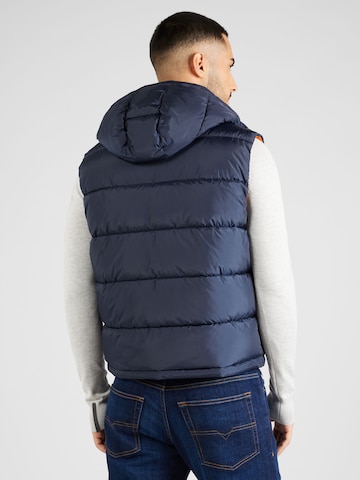 Gilet di ALPHA INDUSTRIES in blu