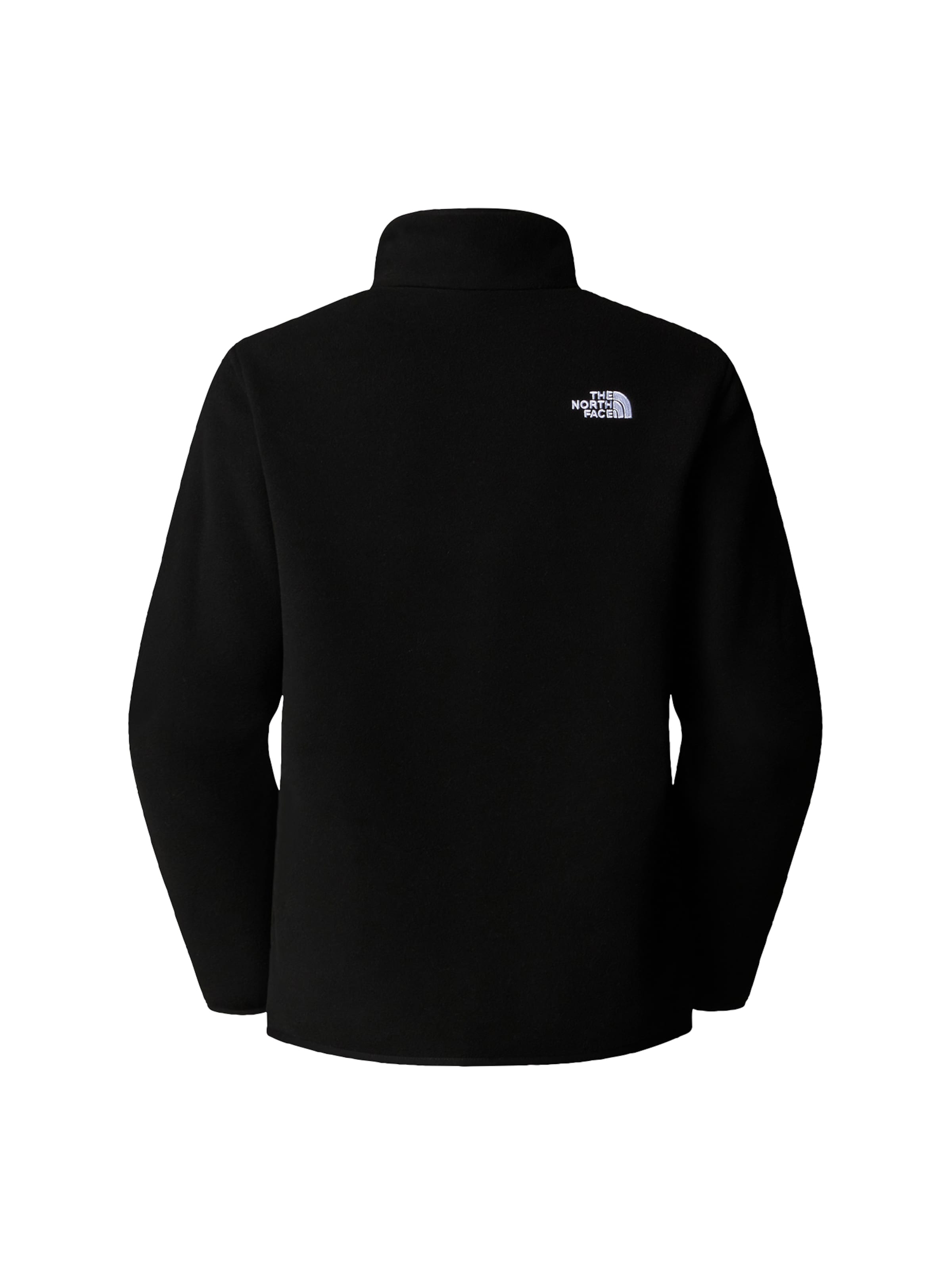 Pull-over de sport 'Glacier' THE NORTH FACE en noir