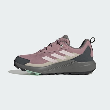 ADIDAS TERREX Low shoe 'Anylander' in Purple