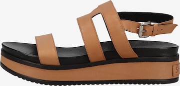 SHABBIES AMSTERDAM Strap Sandals in Brown: front