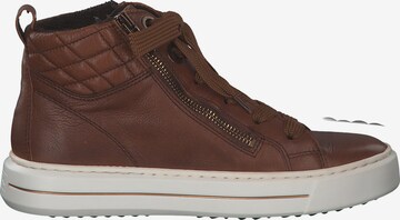 ARA High-Top Sneakers 'Portyard 47494' in Brown