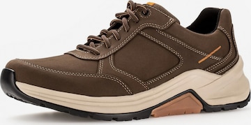 Pius Gabor Sneakers in Brown: front