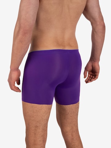 Boxers ' RED2331 Boxerpants ' Olaf Benz en violet