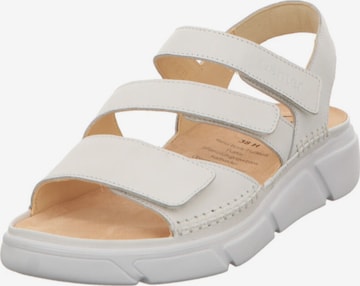 Ganter Sandals 'Halina' in Grey: front